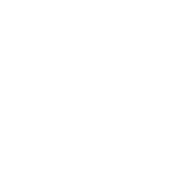 Loose Screws Customs logo